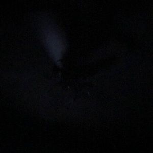 Meet your Posher, Britt